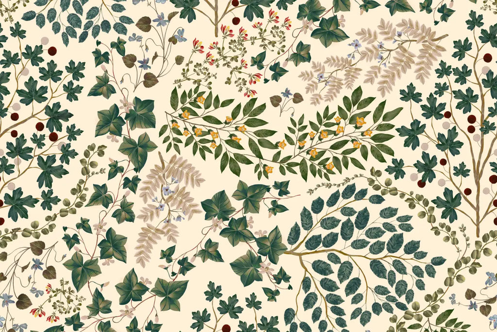 Inspired By…Maria Sibylla Merian