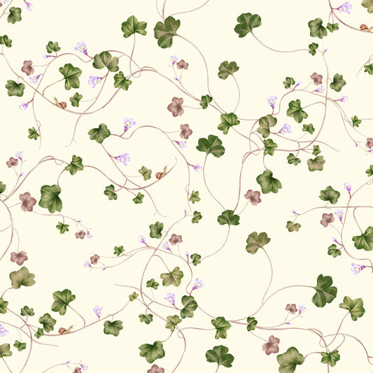 Creeping Toadflax - Wallpaper