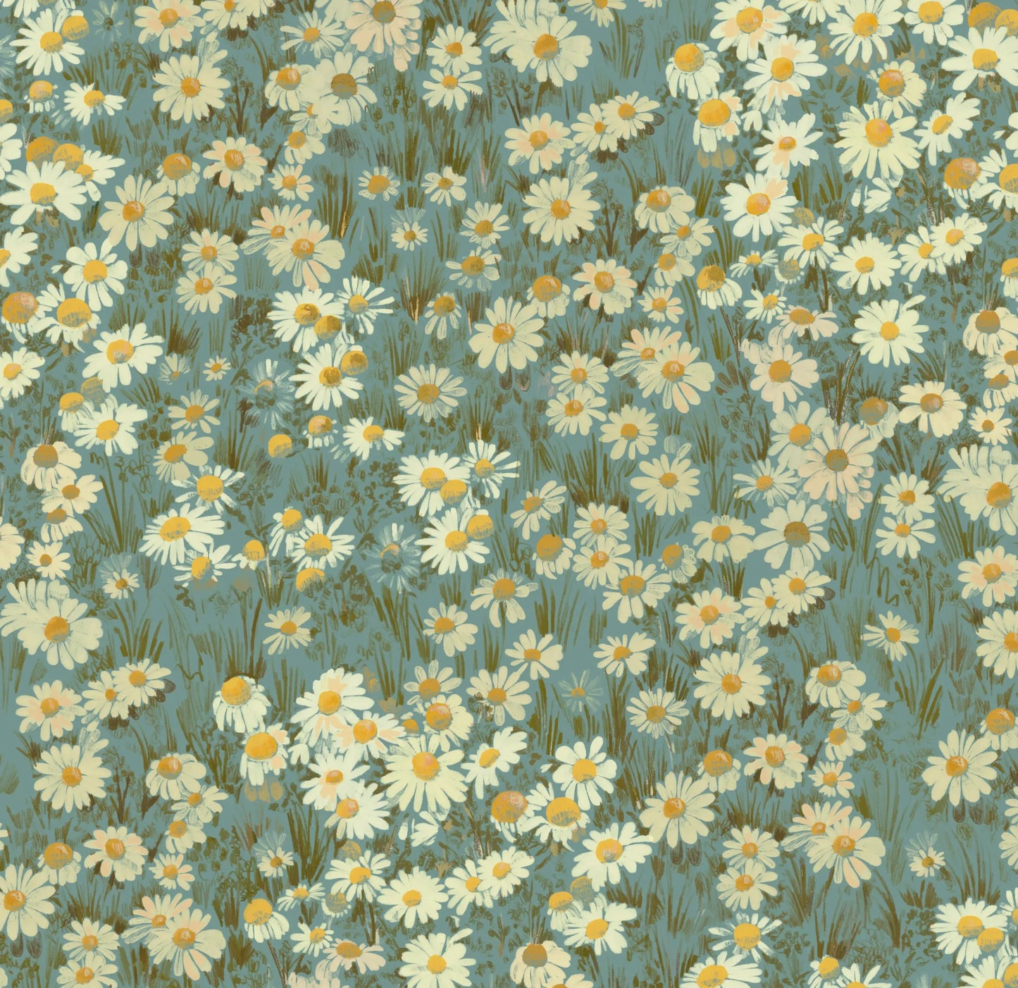 Daisy Blue - Wallpaper